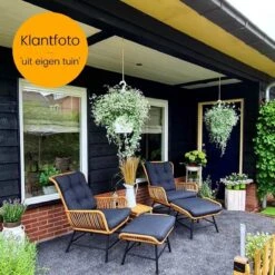 BUITEN Living Dex Wicker Loungestoel Tuin Incl. Wicker Voetenbank | Wicker + Aluminium | Bamboe Antraciet 21 BUITEN Living Dex Wicker Loungestoel Tuin Incl. Wicker Voetenbank | Wicker + Aluminium | Bamboe Antraciet -Fijne Tuinmeubelwinkel 1200x1200 245