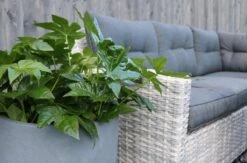 Merkloos Rivièra Original | Loungeset Hoekset Dining Set Tuinset | Wicker | Hoekbank, Hoge Tuintafel, 2 Hockers | 6 Zitplaatsen 6 Merkloos Rivièra Original | Loungeset Hoekset Dining Set Tuinset | Wicker | Hoekbank, Hoge Tuintafel, 2 Hockers | 6 Zitplaatsen -Fijne Tuinmeubelwinkel 1200x793 5