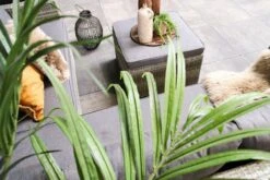 Fonteyn | Loungeset Connor | Melange -Fijne Tuinmeubelwinkel 1200x800 285