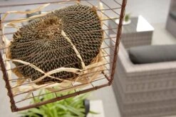 Garden Impressions Montana Loungeset - Organic Grey -Fijne Tuinmeubelwinkel 1200x801 13