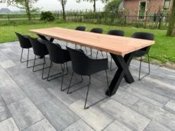 Tuintafel Douglas 300 Cm X 90 Cm | Stalen Poten | 8-10 Personen | DuuMaa 15 Tuintafel Douglas 300 Cm X 90 Cm | Stalen Poten | 8-10 Personen | DuuMaa -Fijne Tuinmeubelwinkel 1200x899 12
