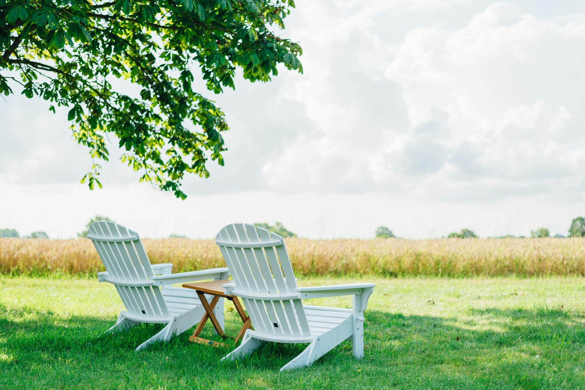 Fijne Tuinmeubelwinkel -Fijne Tuinmeubelwinkel pexels larissafarber 7624758 1